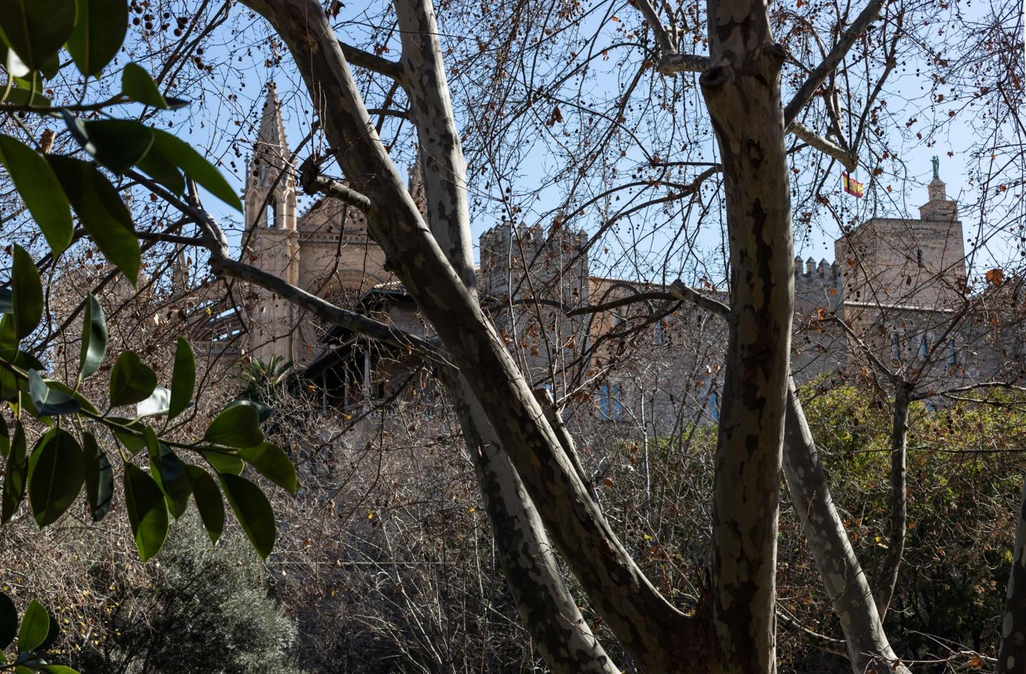 Lägenhet Borne Ti By Mallorcasuites Palma de Mallorca